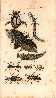 Index picture i_Dir\i_Page1.htm